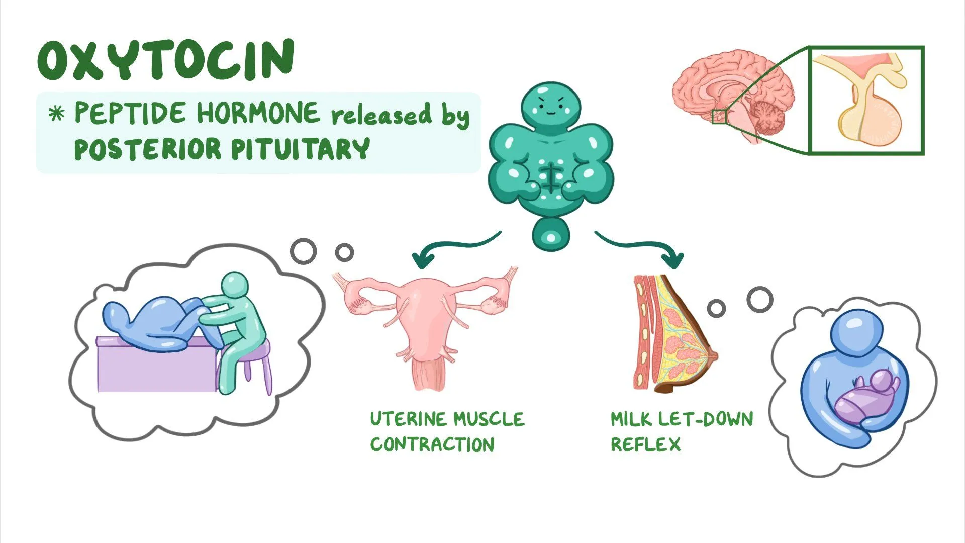 Oxytocin for labor induction